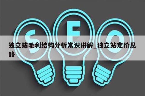 独立站毛利结构分析常识讲解_独立站定价思路