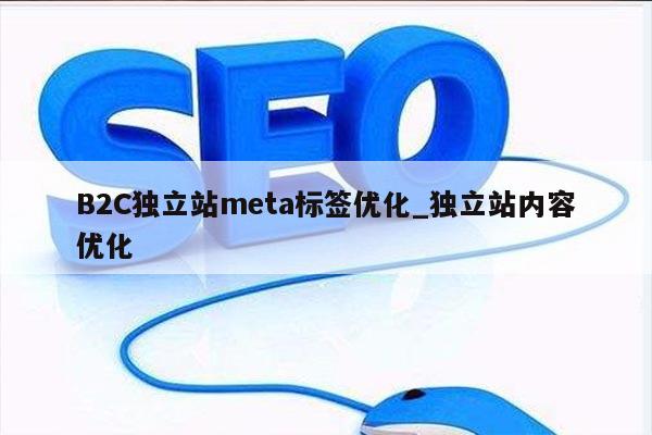 B2C独立站meta标签优化_独立站内容优化