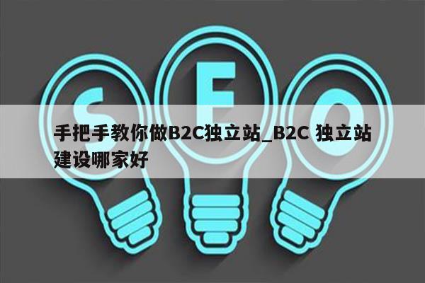 手把手教你做B2C独立站_B2C 独立站建设哪家好