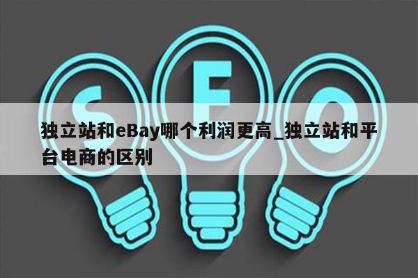 独立站和eBay哪个利润更高_独立站和平台电商的区别