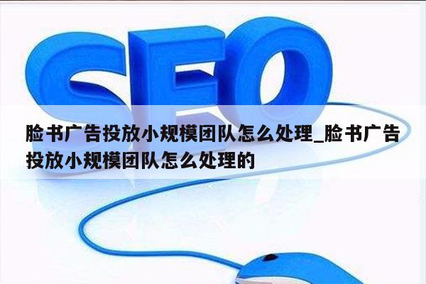脸书广告投放小规模团队怎么处理_脸书广告投放小规模团队怎么处理的